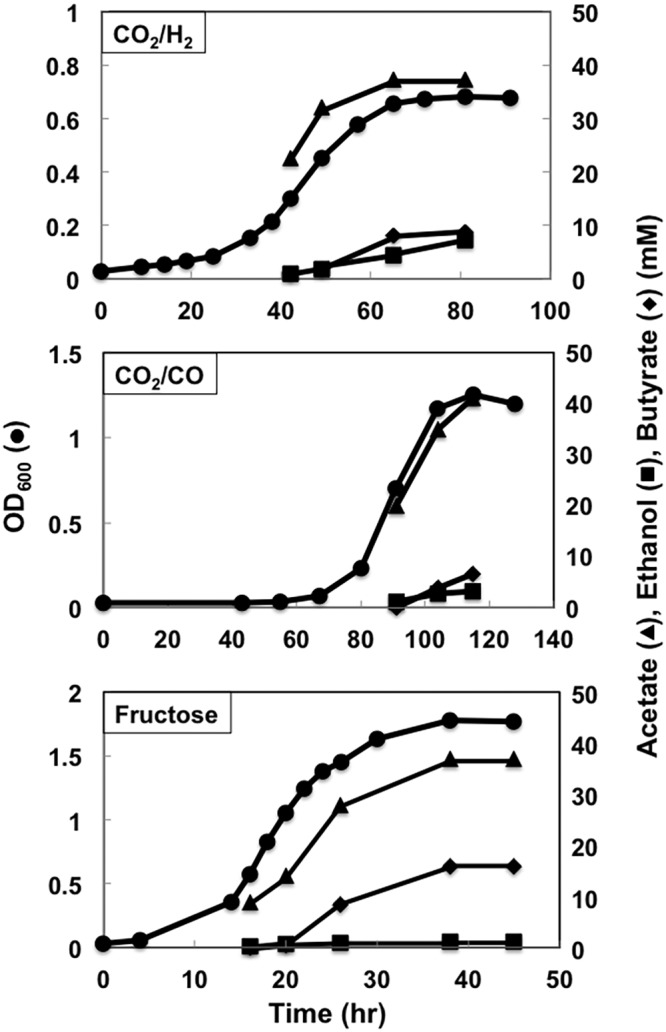 FIG 8 