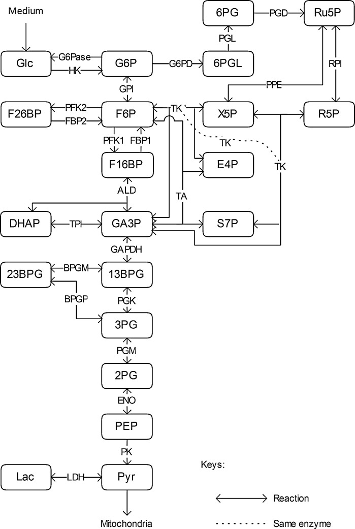 Fig. 2