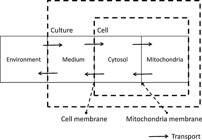 Fig. 1