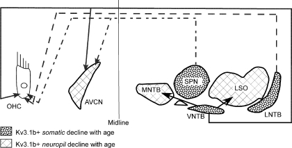 FIG. 7.