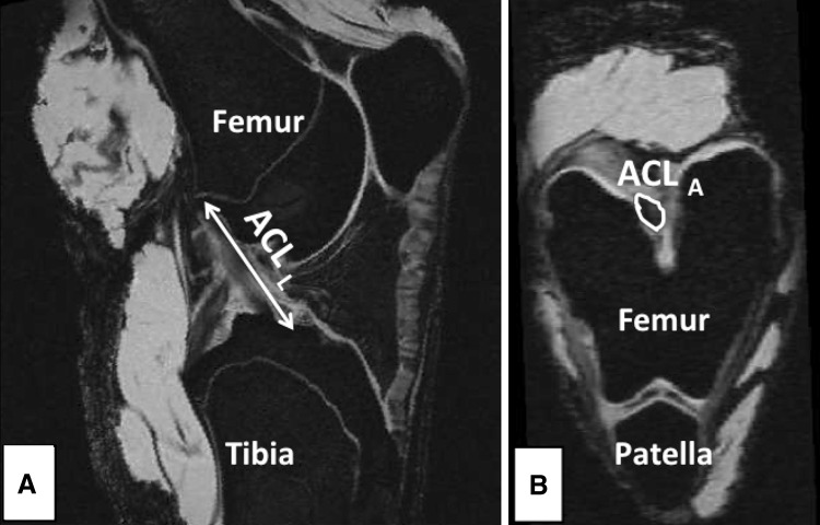 Fig. 1A–B