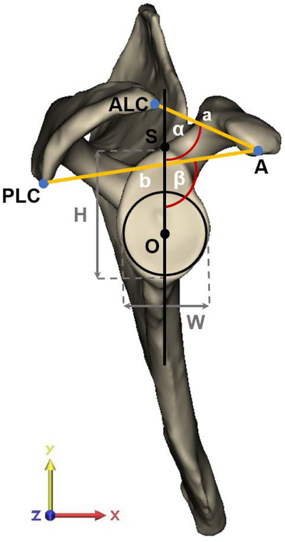 Figure 1: