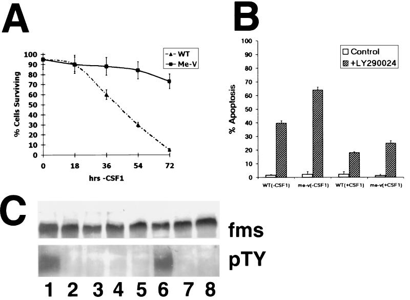 FIG. 5