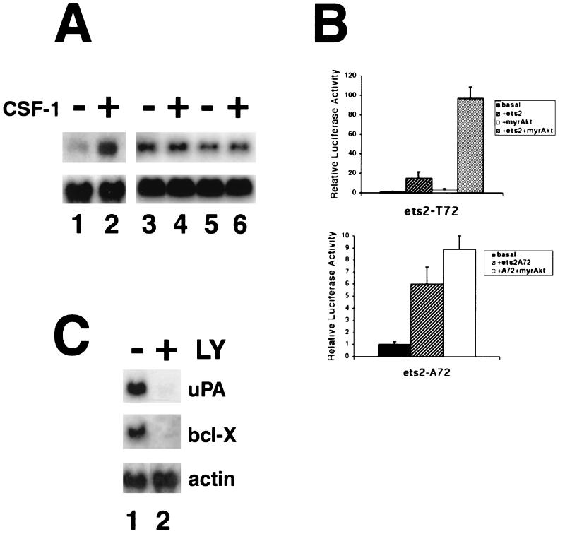 FIG. 6