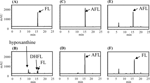 FIG. 5.