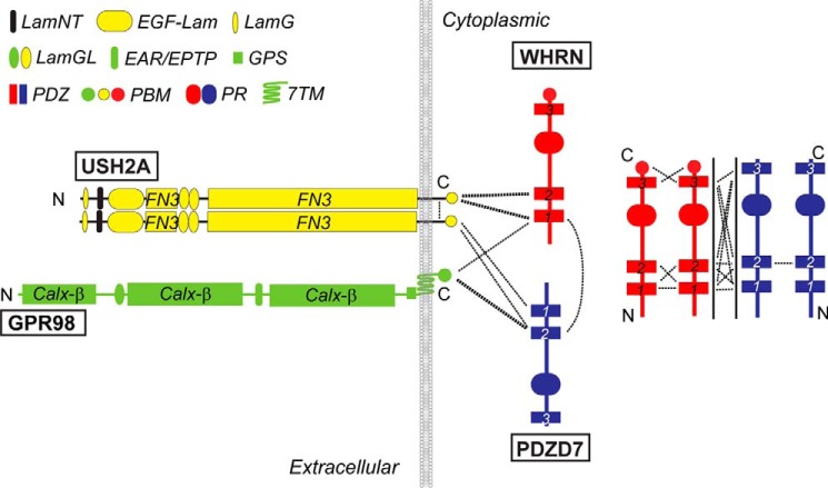 FIGURE 14.