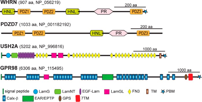 FIGURE 1.