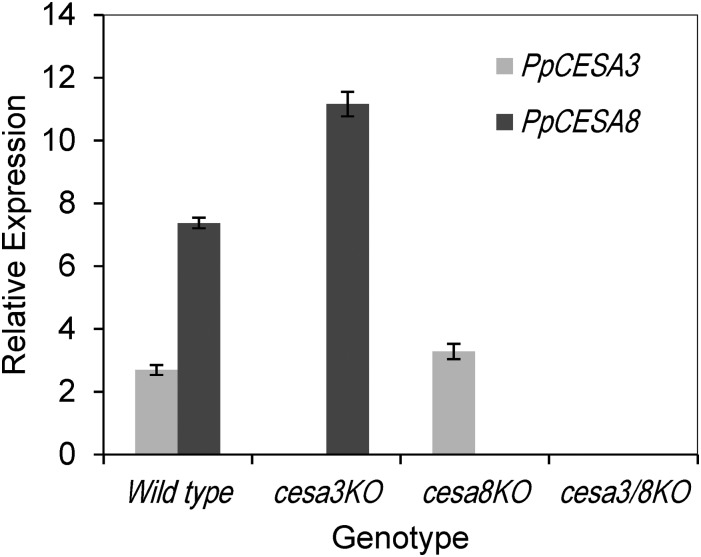 Figure 6.