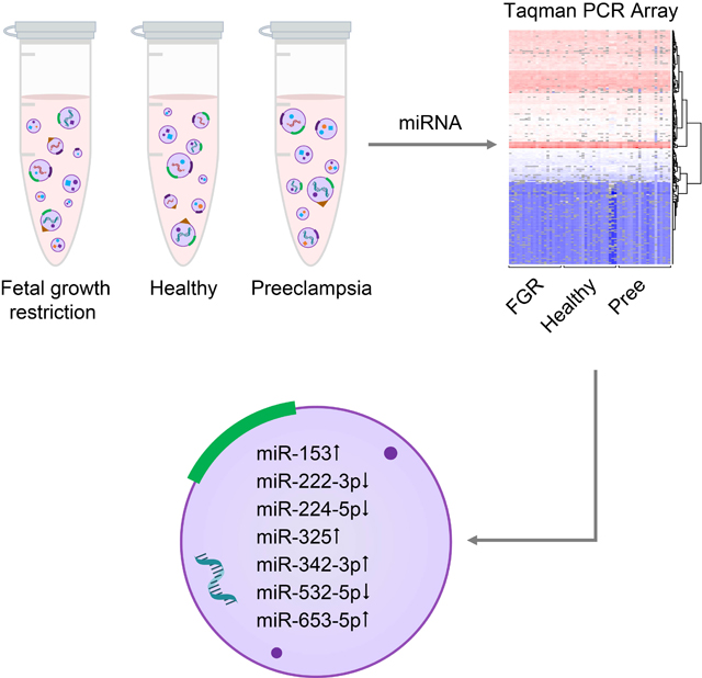 graphic file with name nihms-1549058-f0006.jpg