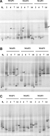 FIG. 3.