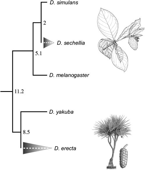 Figure 1.—