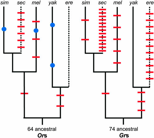 Figure 4.—