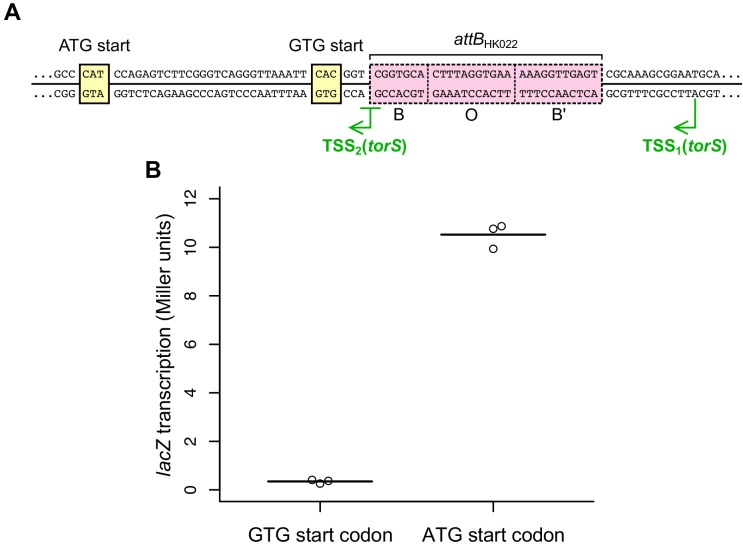 Figure 3—figure supplement 1.