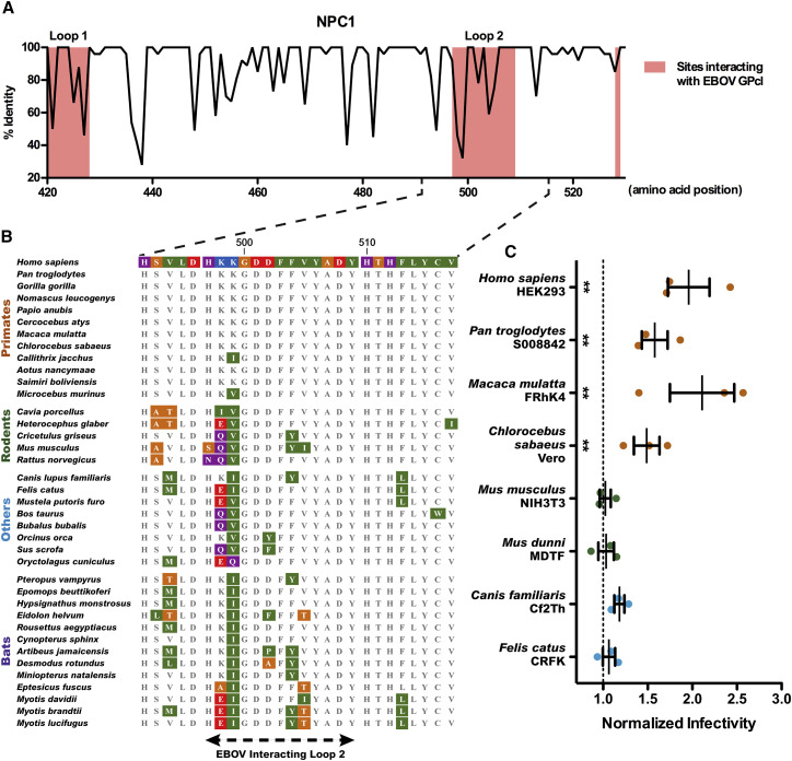 Figure 4