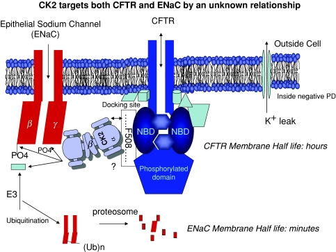 Fig. 2