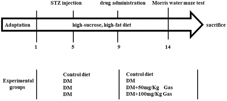 FIGURE 2