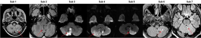 Supplementary Fig. 1