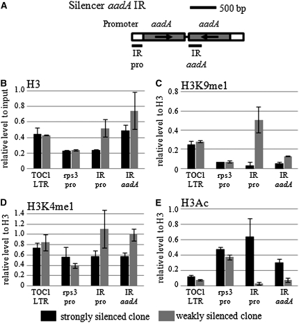 Figure 6.—