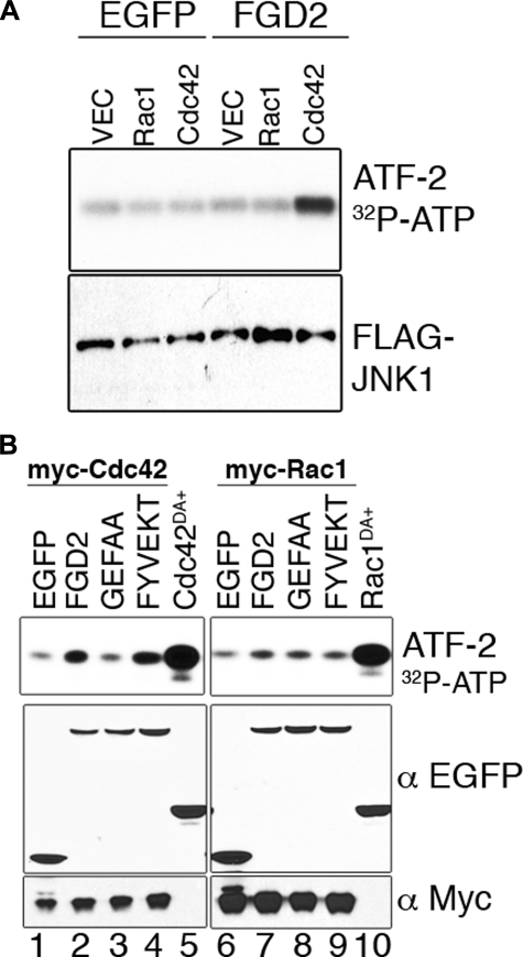 FIGURE 9.