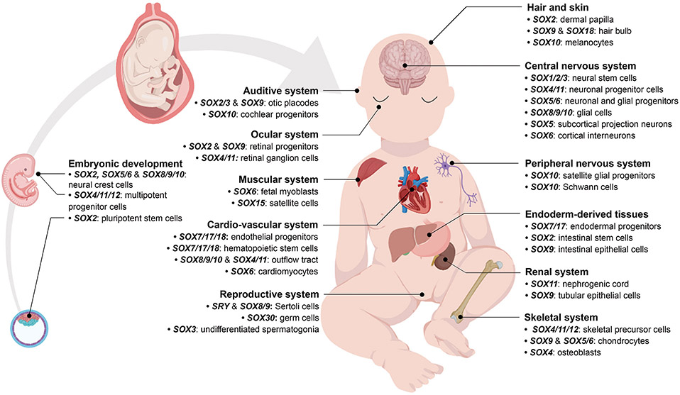 Figure 3.