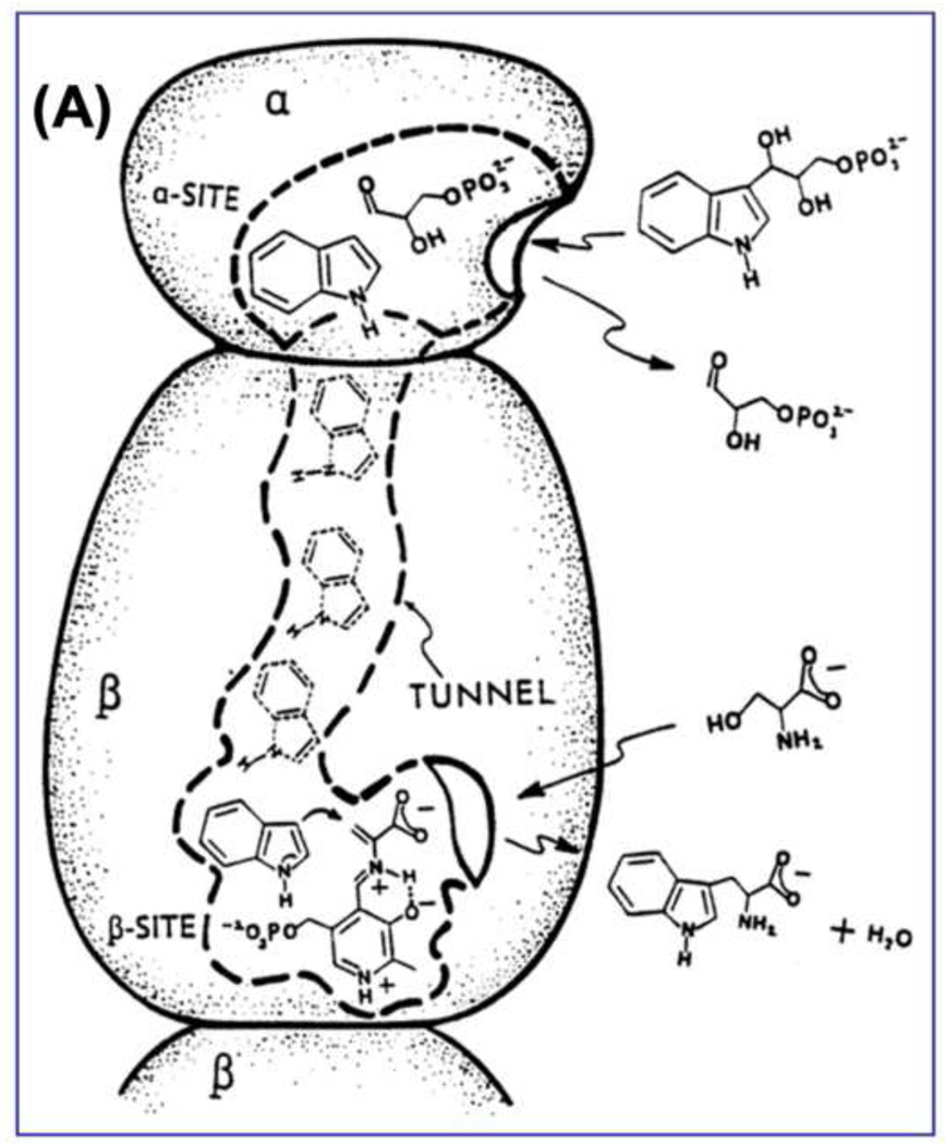 Figure 8