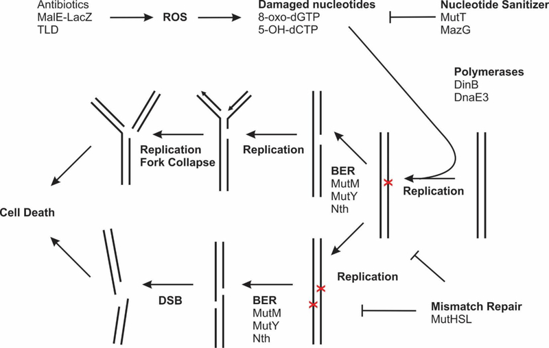 Fig. 3.