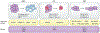 Fig. 3 |