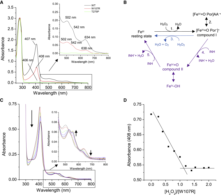 Figure 6