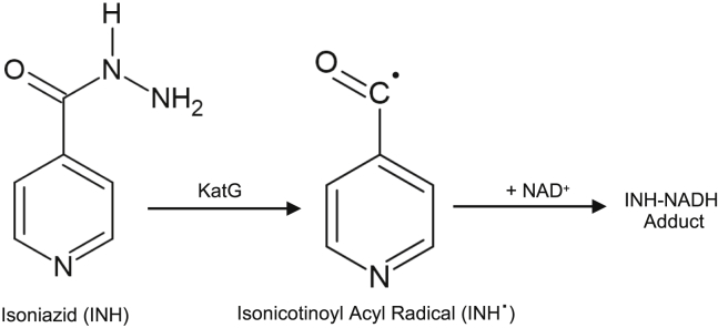 Figure 1