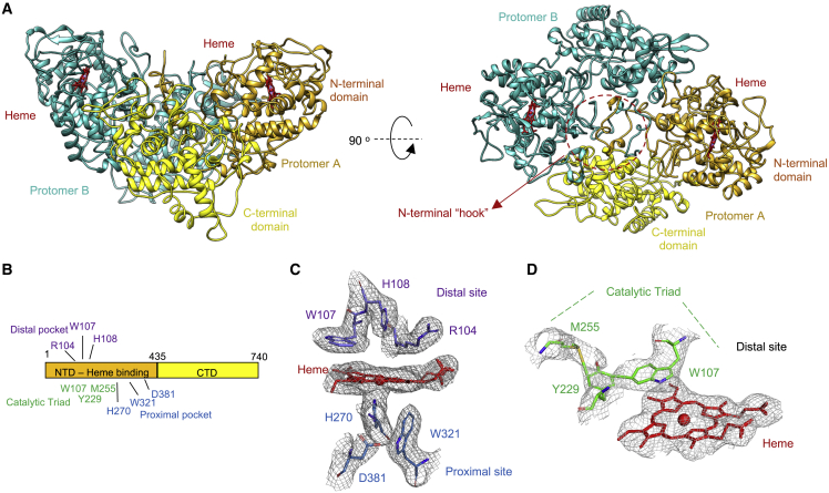 Figure 3