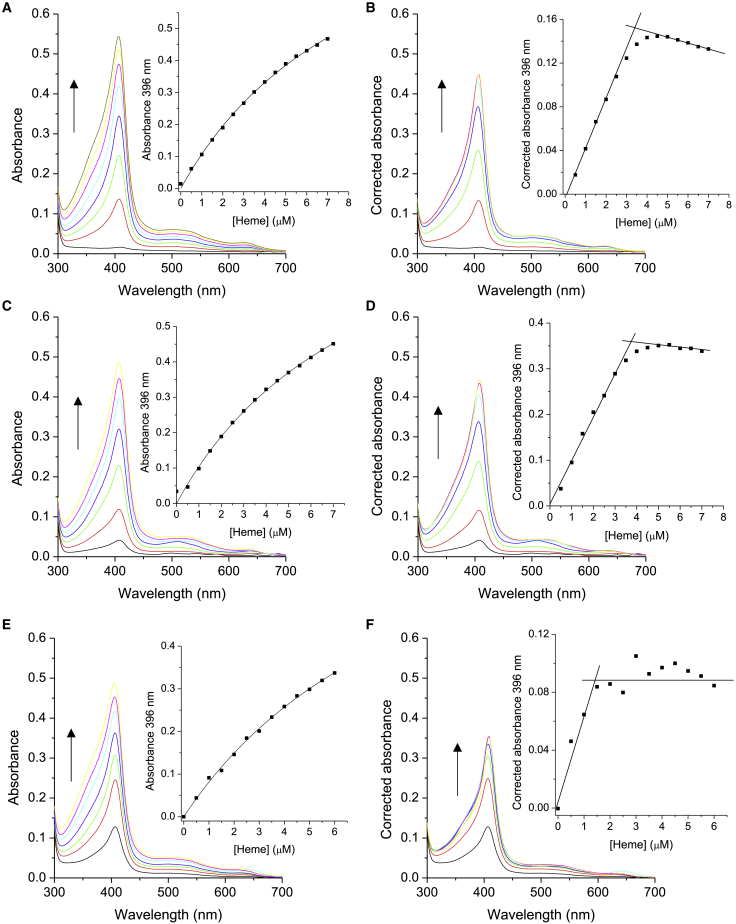 Figure 7