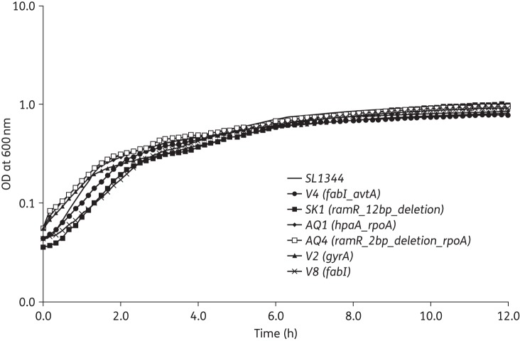 Figure 2.