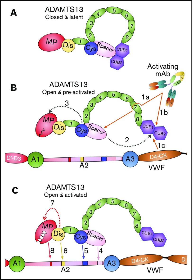 Figure 7.