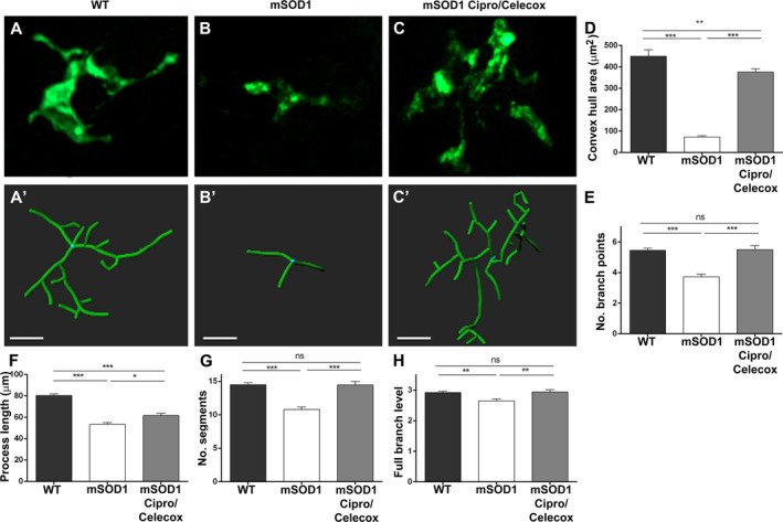 Figure 5