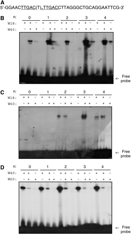 Figure 6.