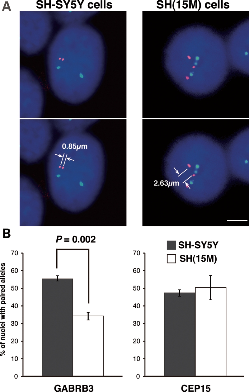 Figure 3.