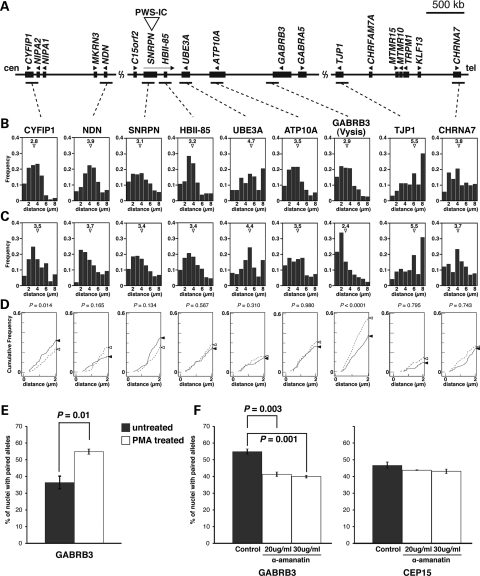 Figure 4.