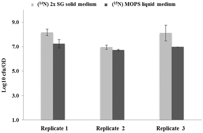 FIGURE 3