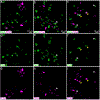 Figure 15.