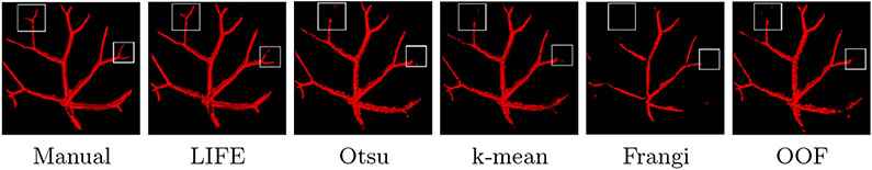 Fig. 7.