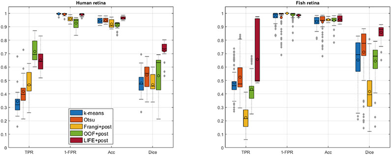 Fig. 8.