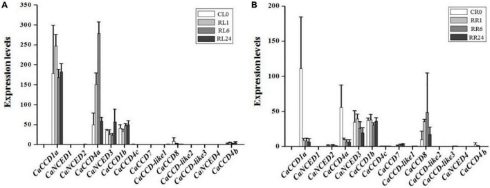 FIGURE 6