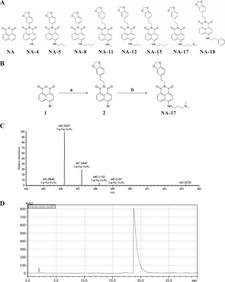 FIGURE 1.