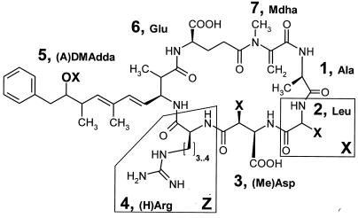 FIG. 1.