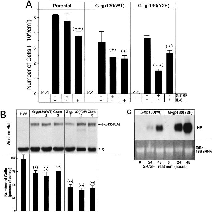 FIG. 8