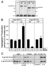 FIG. 6