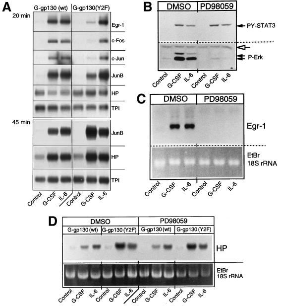 FIG. 5