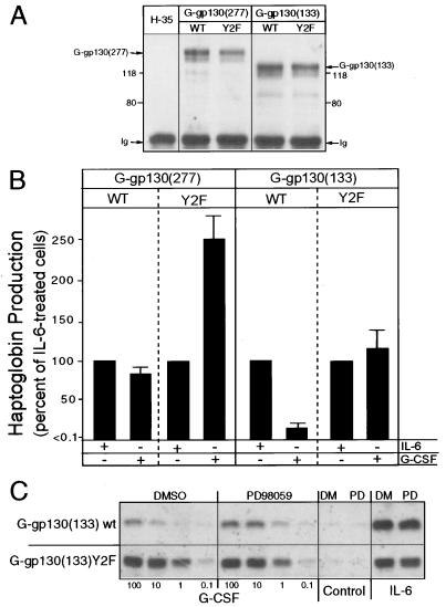 FIG. 6