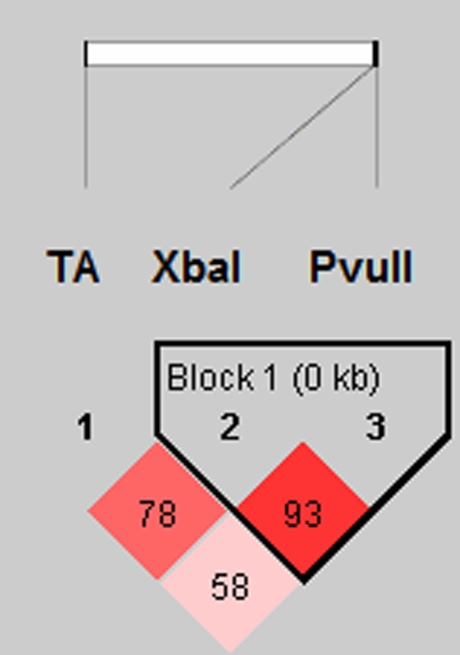 Fig. 4