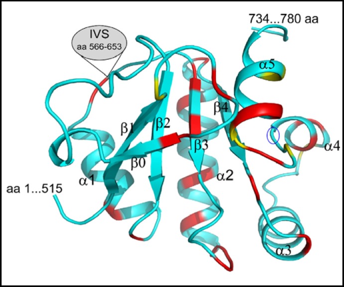 Fig. 9